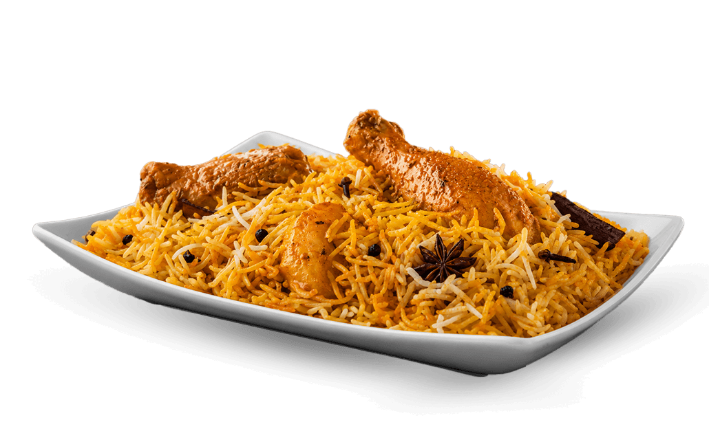 bombay-biryani-food-shot