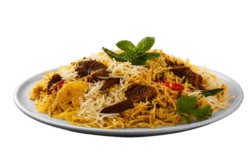 sindhi-biryani-food-shot