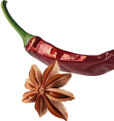 Related Product Element