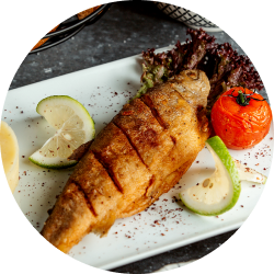 Food Shot for Rahul Verma