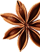About Element
