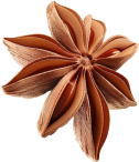 Masala Element